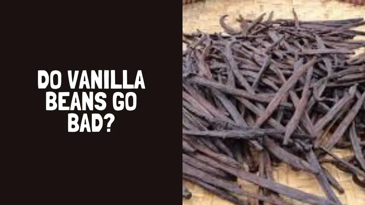Do Vanilla Beans Go Bad? How Long Do Vanilla Beans Last?