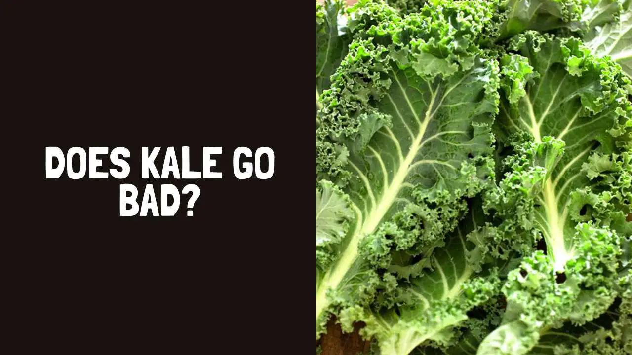 Does Kale Go Bad? How Long Does Kale Last?
