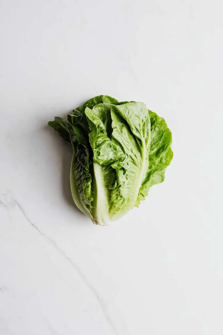 Romaine Lettuce on a Flat Surface