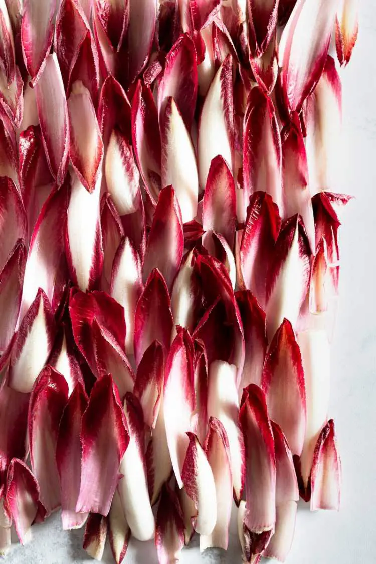 Red and White Flower Petals