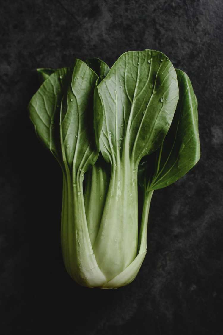 Fresh Green Bok Choy with Water Droplets