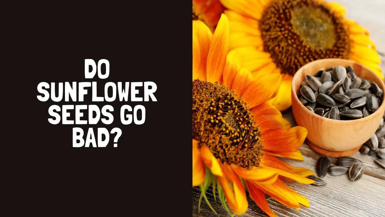 Do Sunflower Seeds Go Bad? How Long Do Sunflower Seeds Last?
