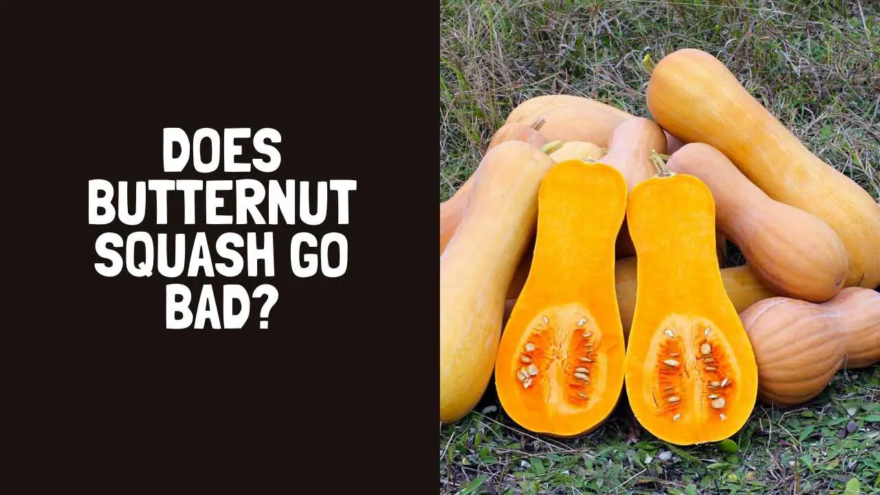Does Butternut Squash Go Bad? How Long ... - Real Menu Prices
