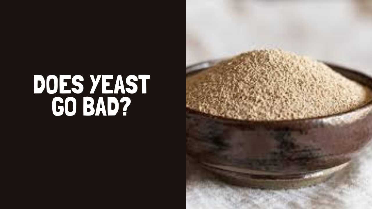 Does Yeast Go Bad? How Long Does Yeast Last?