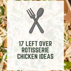 17 Left Over Rotisserie Chicken Recipes